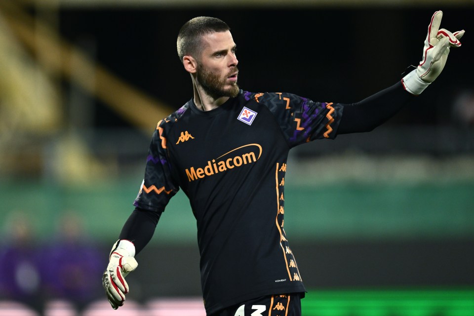 David De Gea of Fiorentina during a soccer game.