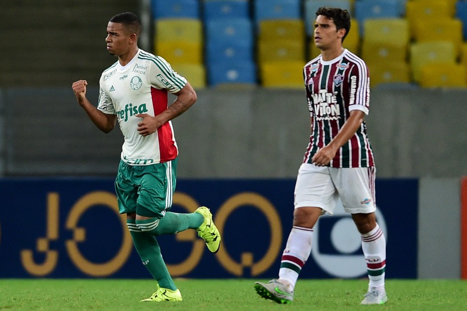 Gabriel Jesus of Palmeiras celebrates a scored goal during a match between Fluminense and Palmeiras as part of Brasileirao Series A 2015 at Maracana Stadium