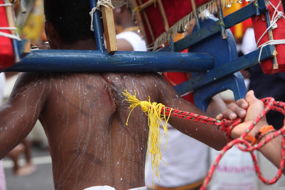 London, UK. 14th August, 2016. Kavadi Attam annual Tamil chariot festivals in the Shri Kanaga Thurkkai temple in West Ealing ,thousands of people come out to join the celebrations as the temple goddess Amman which means mother in Tamil is parade in a