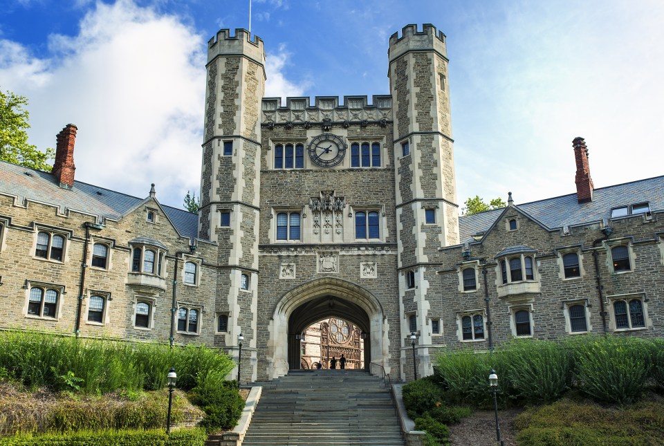 Mechanical and aerospace engineers at America's Princeton University conducted the study in 2014