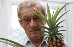 Stunned gardener discovered pineapple he planted turned into tree bearing fruit