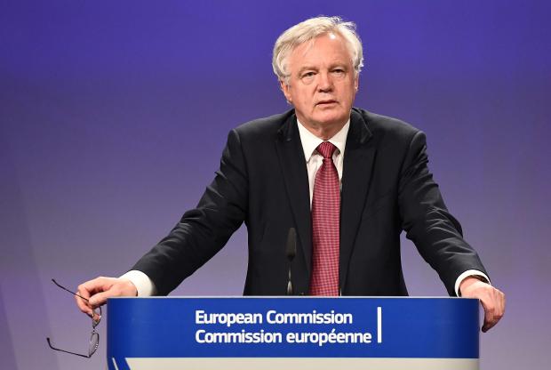 David Davis wants to quit the European nuclear regulator