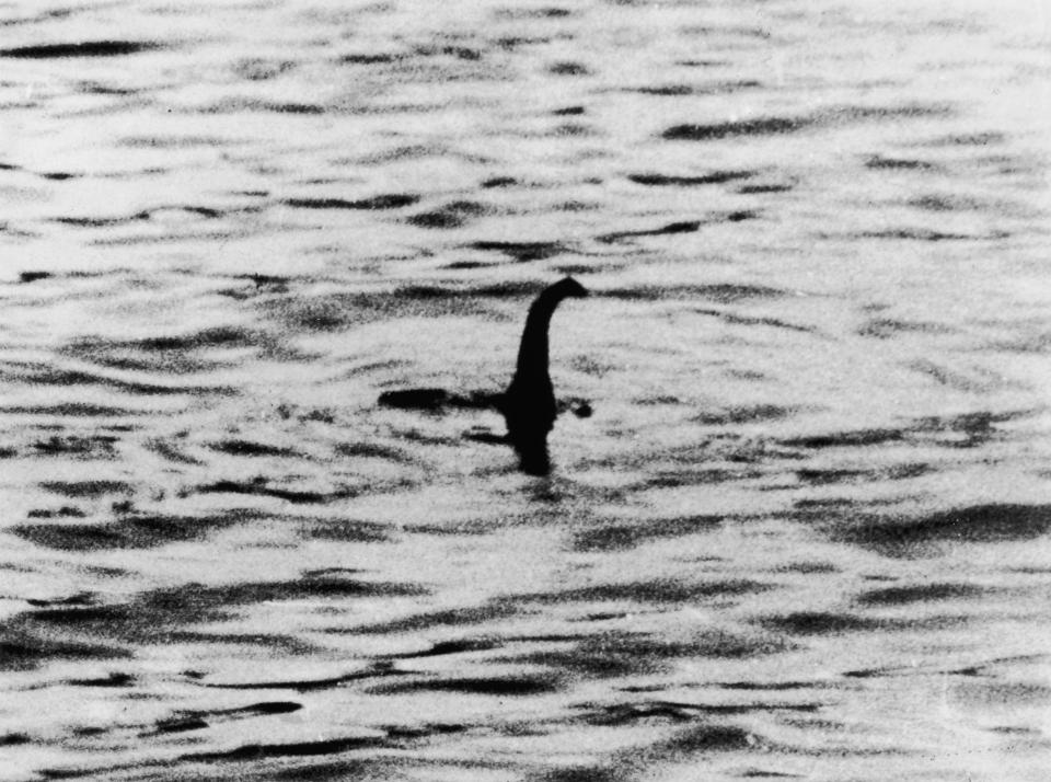 Scientists will collect DNA to determine whether the Loch Ness Monster exists or not