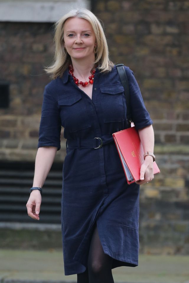  Liz Truss said Boris would call their bluff on a No Deal vote