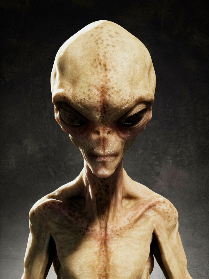  Bonkers conspiracy theorists have long claimed that an ancient civilisation – possibly of alien origin – lived or still lives under the Antarctic ice
