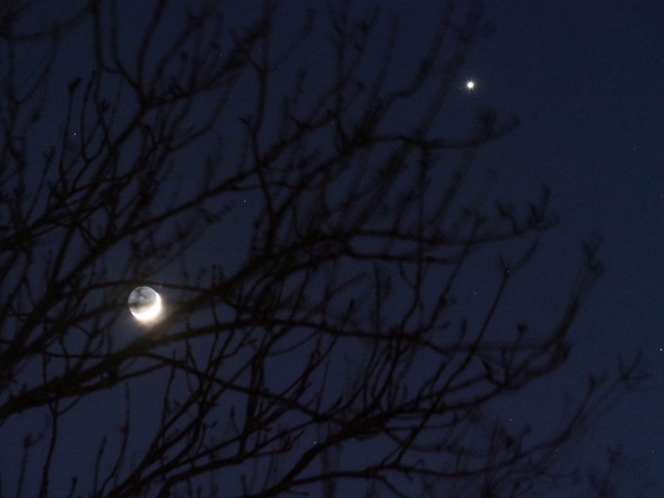 Waxing crescent moon and Venus in the night sky.