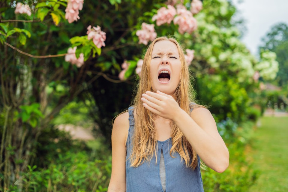 The hay fever season could have already started for many people with tree pollen allergies