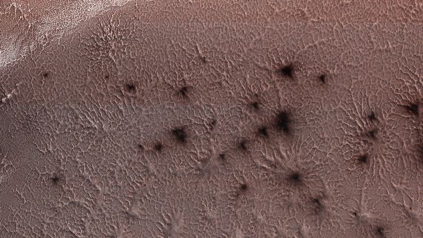 The creepy patterns are a bit of a mystery