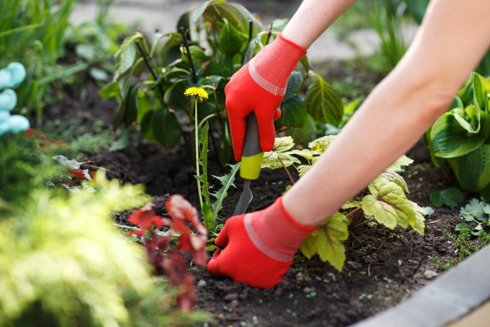 A simple clean up, including removing weeds and trimming the lawn, can make a huge difference