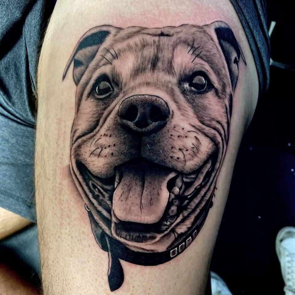 Tattoo of a smiling Staffordshire Bull Terrier.