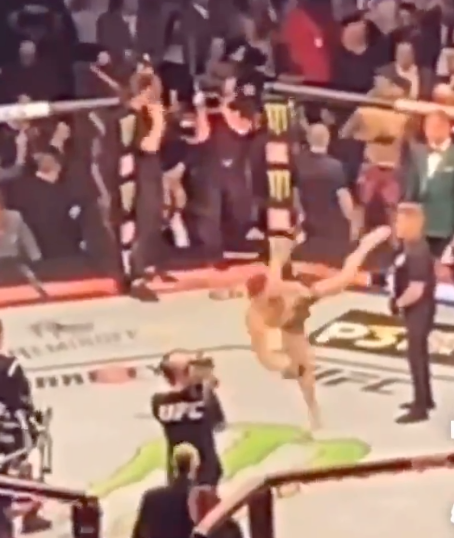 Conor McGregor came dangerously close to kicking a security guard in the face before his trilogy with Dustin Poirier