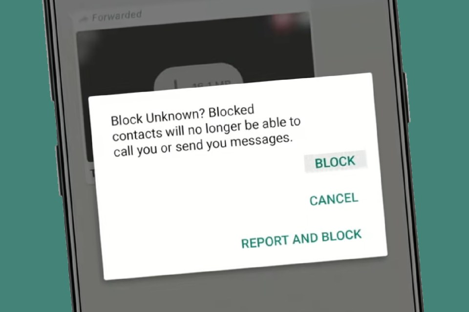 WhatsApp has plenty of hidden clues when it comes to uncovering a block