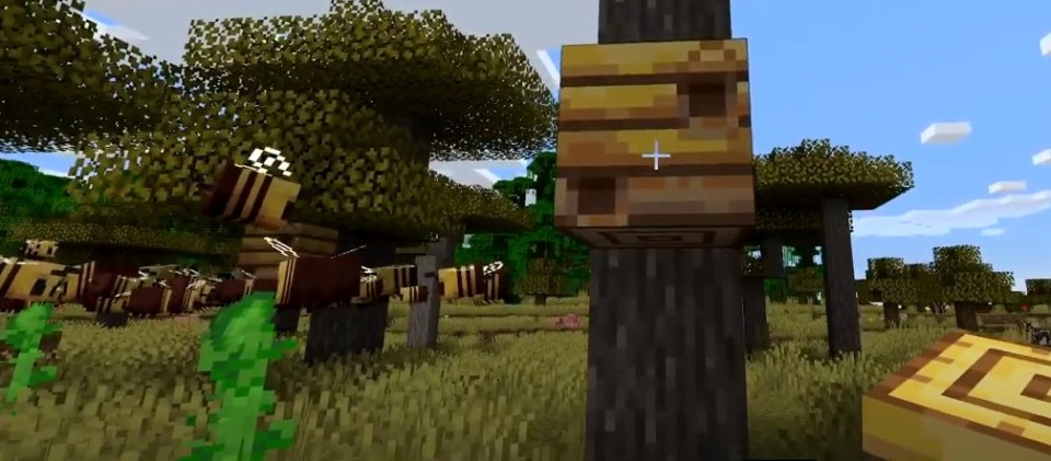 You should light a fire under the nest before taking the honey to stop the bees from attacking you