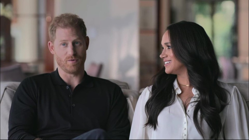 The prince and his wife opened up about their struggles within the Royal Family in the new series