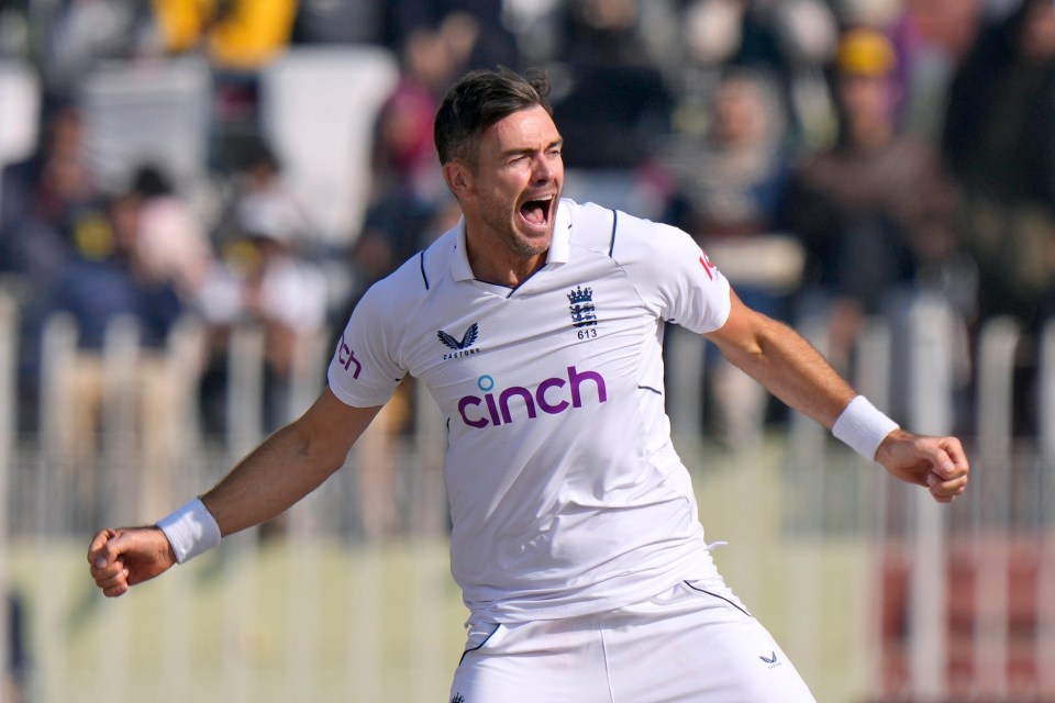 James Anderson celebrates taking a wicket for England