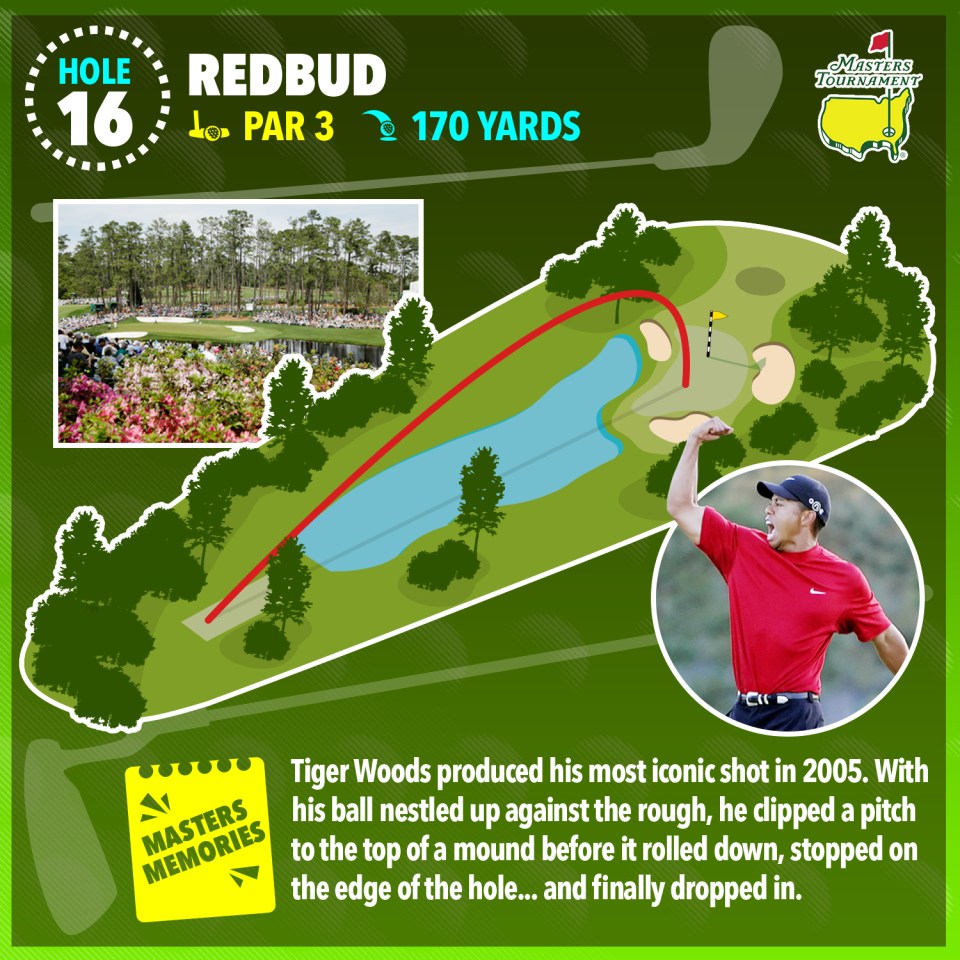 Illustration of Tiger Woods' iconic 2005 Masters Tournament shot on hole 16, a par 3, 170-yard Redbud hole.
