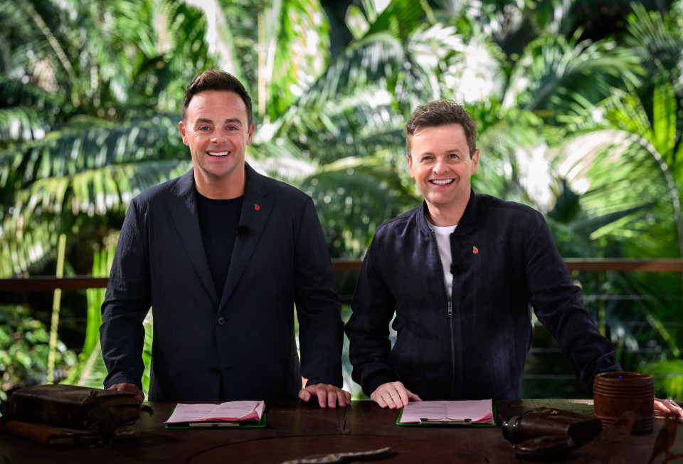 I'm A Celeb is set to hit screens soon