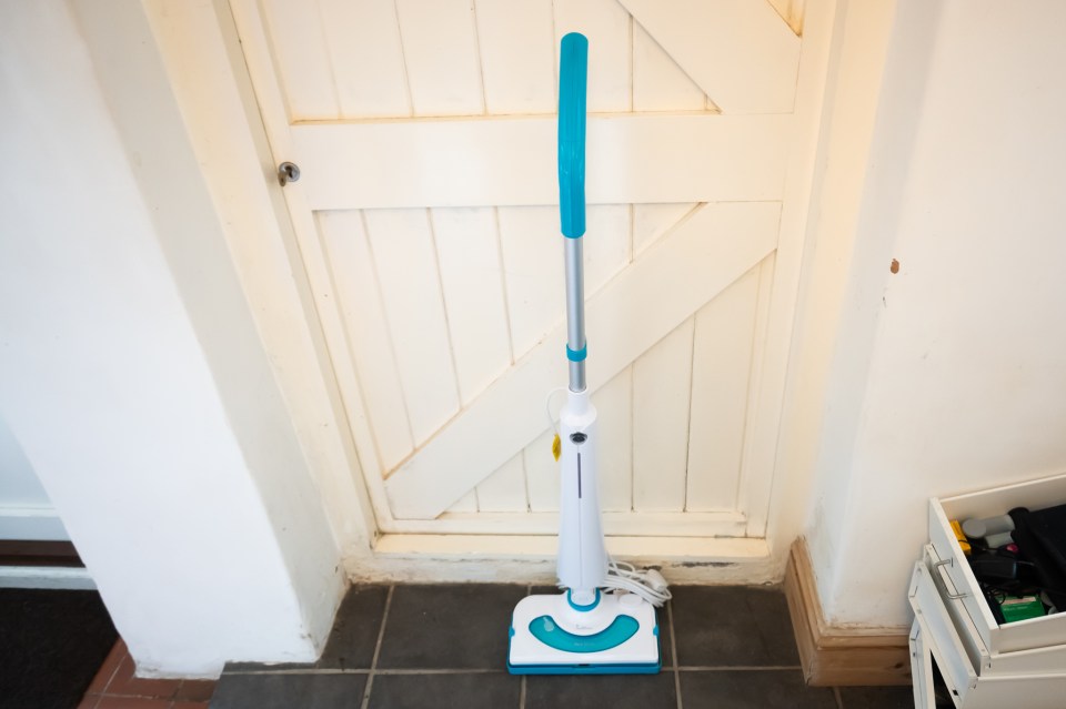 Beldray steam mop.