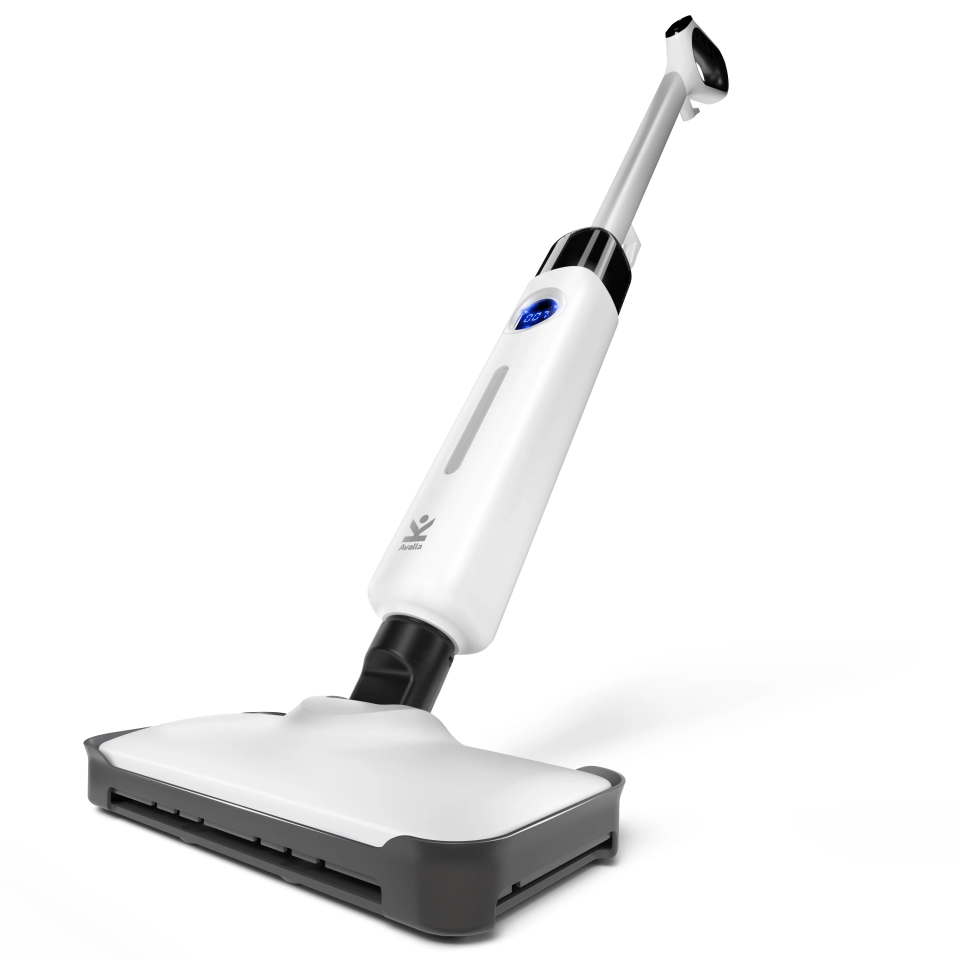 best-steam-mops