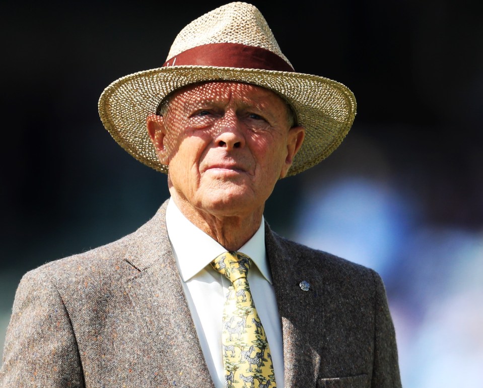a man wearing a straw hat and tie looks at the camera