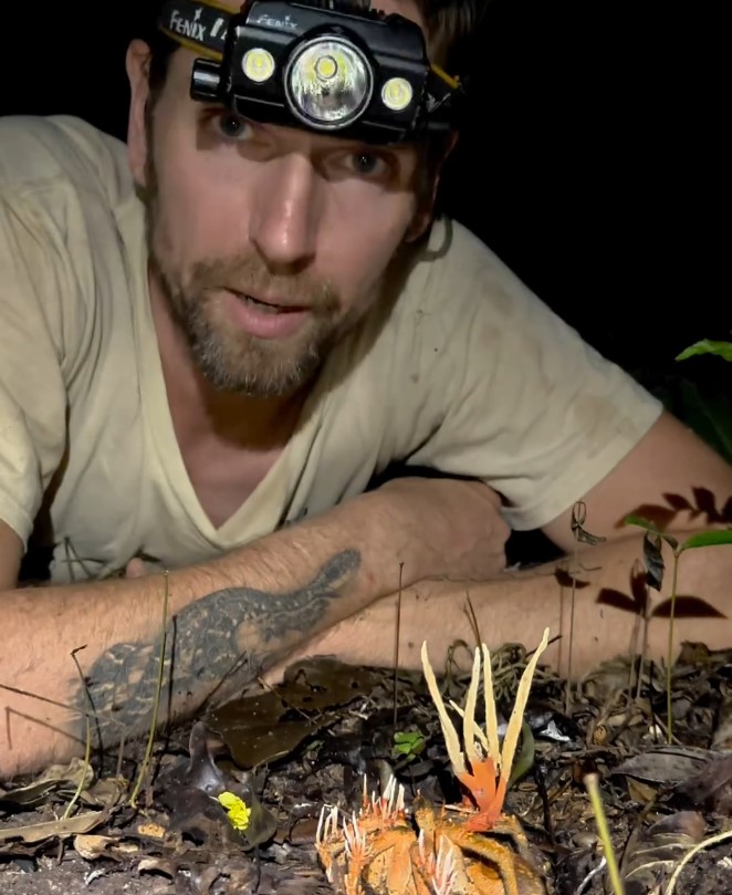 a man wearing a fenix headlight looks at a mushroom