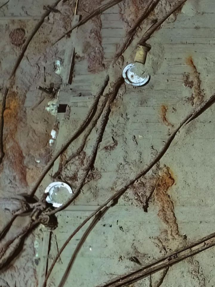 a close up of a muddy surface with a few horseshoes on it