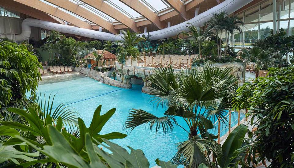 a large indoor swimming pool surrounded by palm trees
