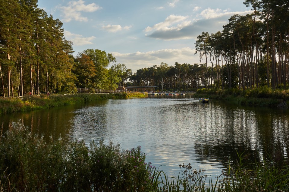 a lake in the middle of a forest with boats in it