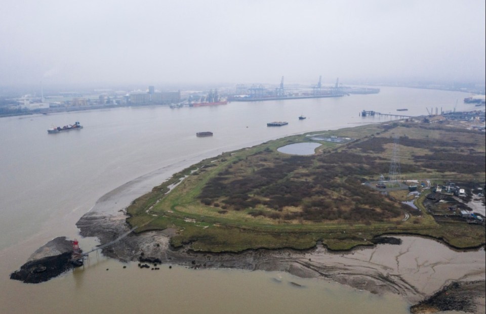 SWANSCOMBE, ENGLAND - FEBRUARY 01: A view the Swanscombe Peninsular on February 01, 2021 in Swanscombe, England. The peninsular sits on the South side of the Thames Estuary shoreline, an important feeding ground for wading birds and other marine wildlife, and comprises of reedbeds and marshland. The UK's Planning Inspectorate recently cleared an application for a £3.5bn Theme Park project, which is led by London Resort Company Holdings (LRCH), and will now face a 12-to-18 month public inquiry before receiving approval to start construction. (Photo by Dan Kitwood/Getty Images)