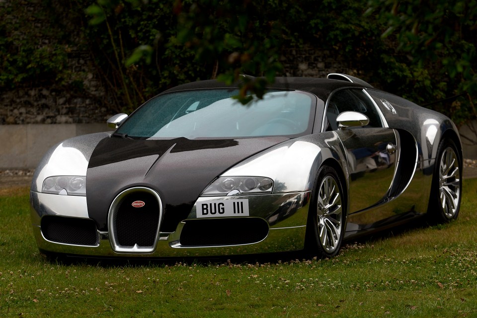 Silver Bugatti Veyron parked on grass.