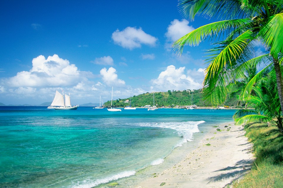 Sailboats anchored in a tropical bay.