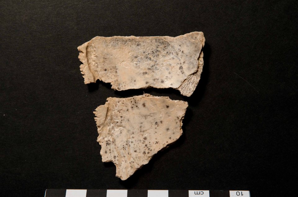 Evidence of cannibalism from a Polish cave.