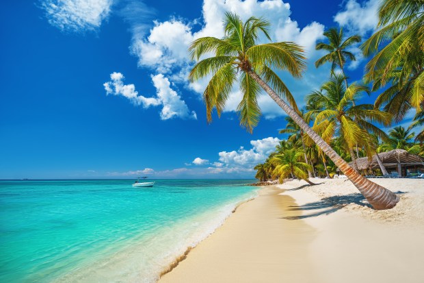 Tropical beach in Punta Cana with palm trees and a boat.