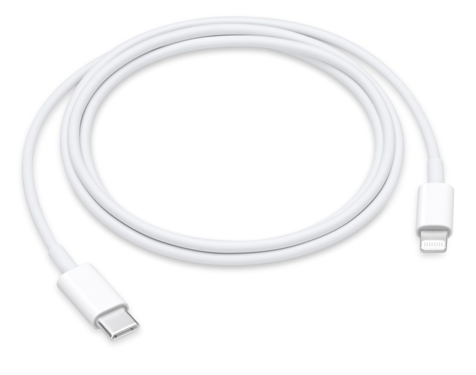 White USB-C to Lightning cable.