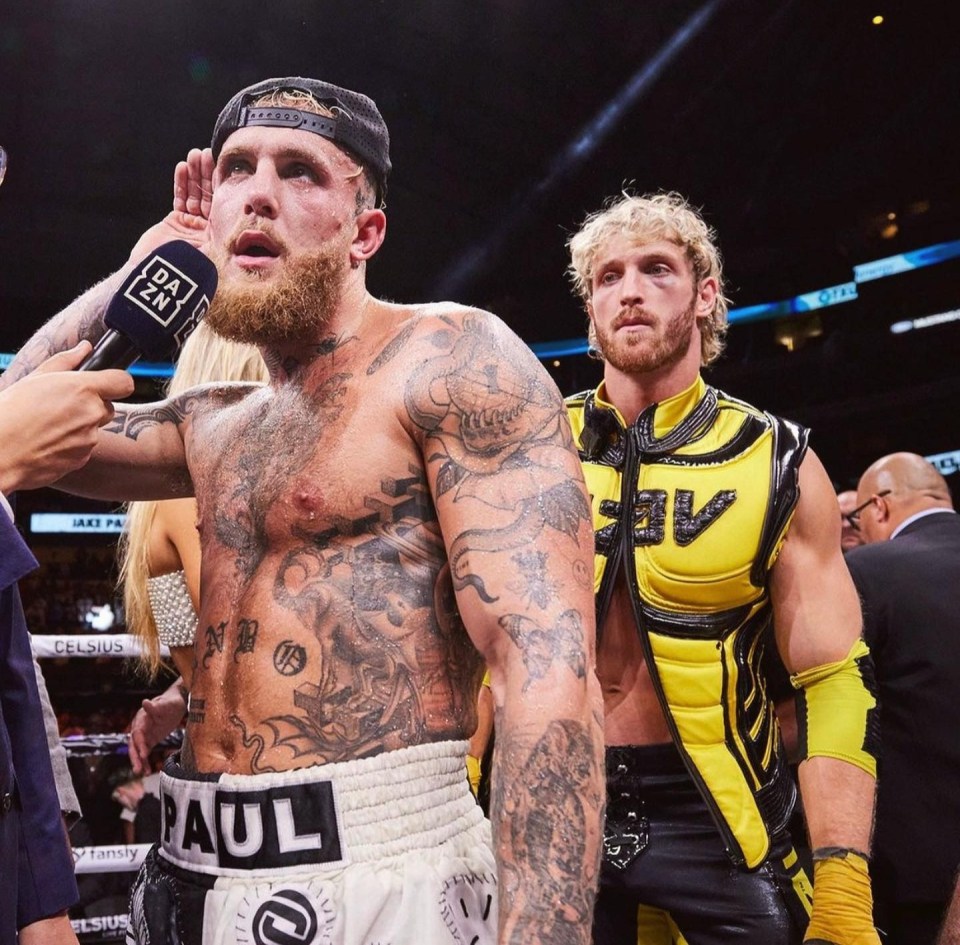 Jake Paul and Logan Paul post-fight.