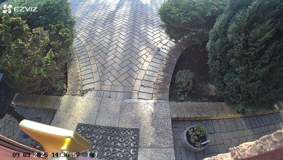 Security camera view of a brick walkway and garden.
