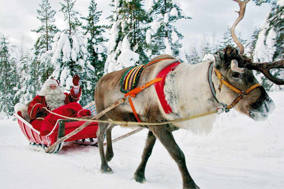 Santa Claus waving from a reindeer-drawn sleigh in a snowy forest.