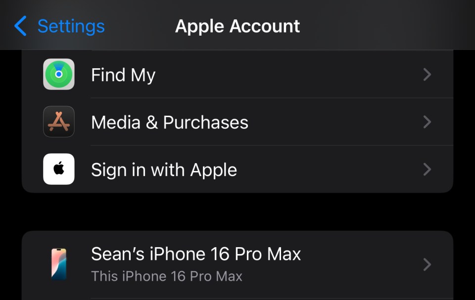 iPhone settings showing Apple Account options.