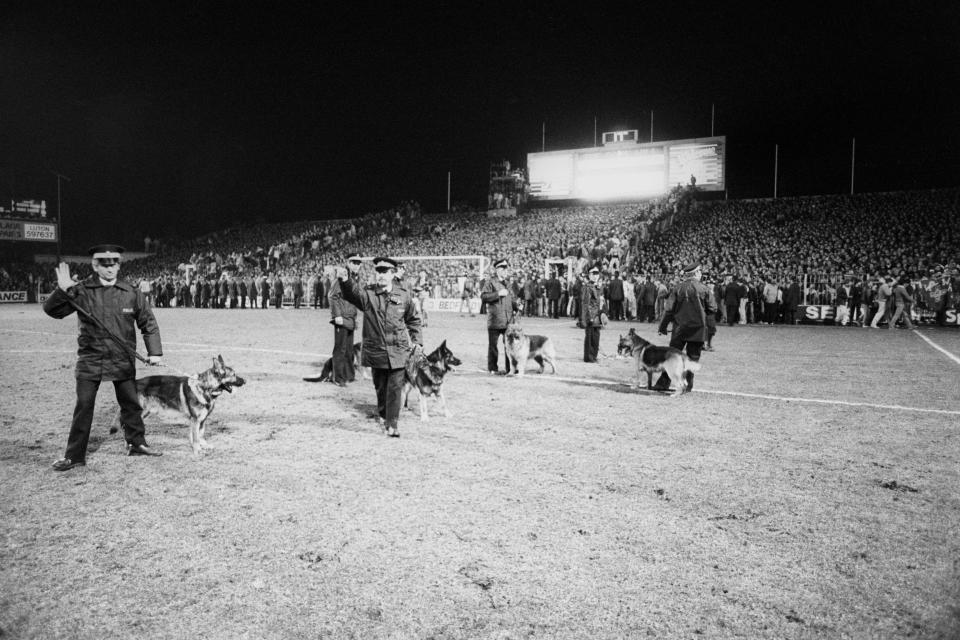 Police officers with German Shepherds on leashes on a soccer field in front of a crowd.