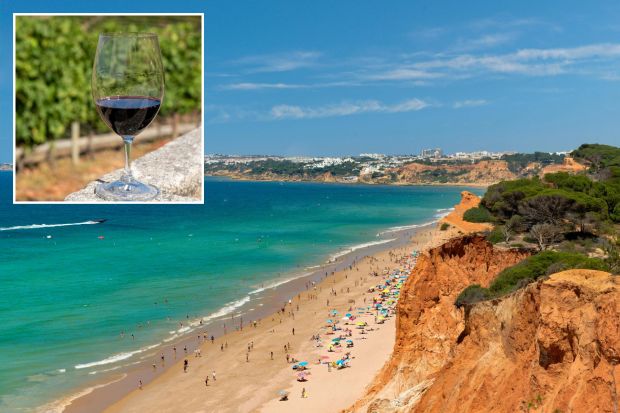 An image collage containing 2 images, Image 1 shows Aerial view of Praia da Falesia beach in Albufeira, Portugal, Image 2 shows Glass of red wine in a vineyard