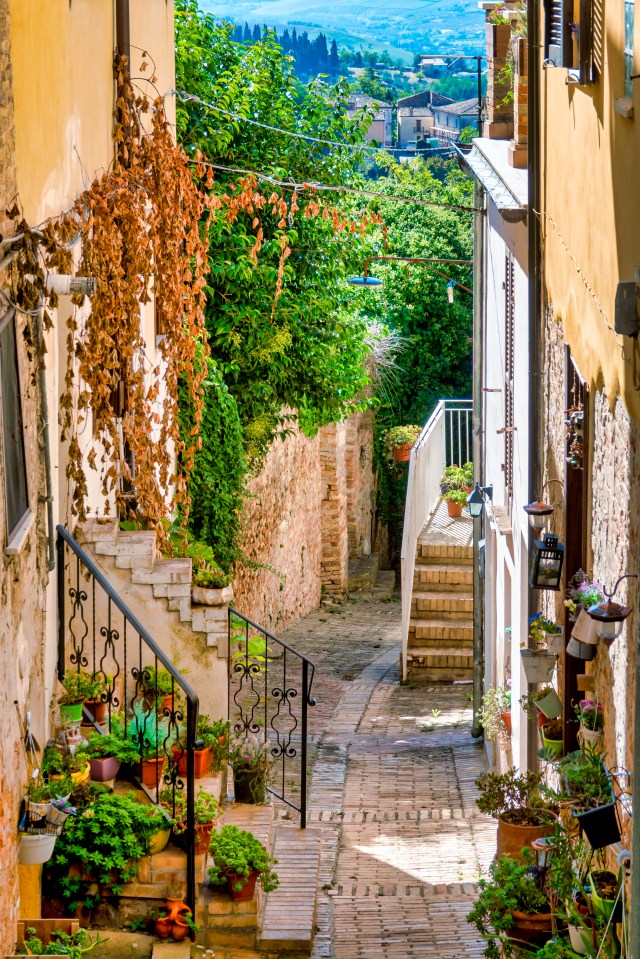 Narrow alley in Penne, Italy, with brick steps and potted plants.