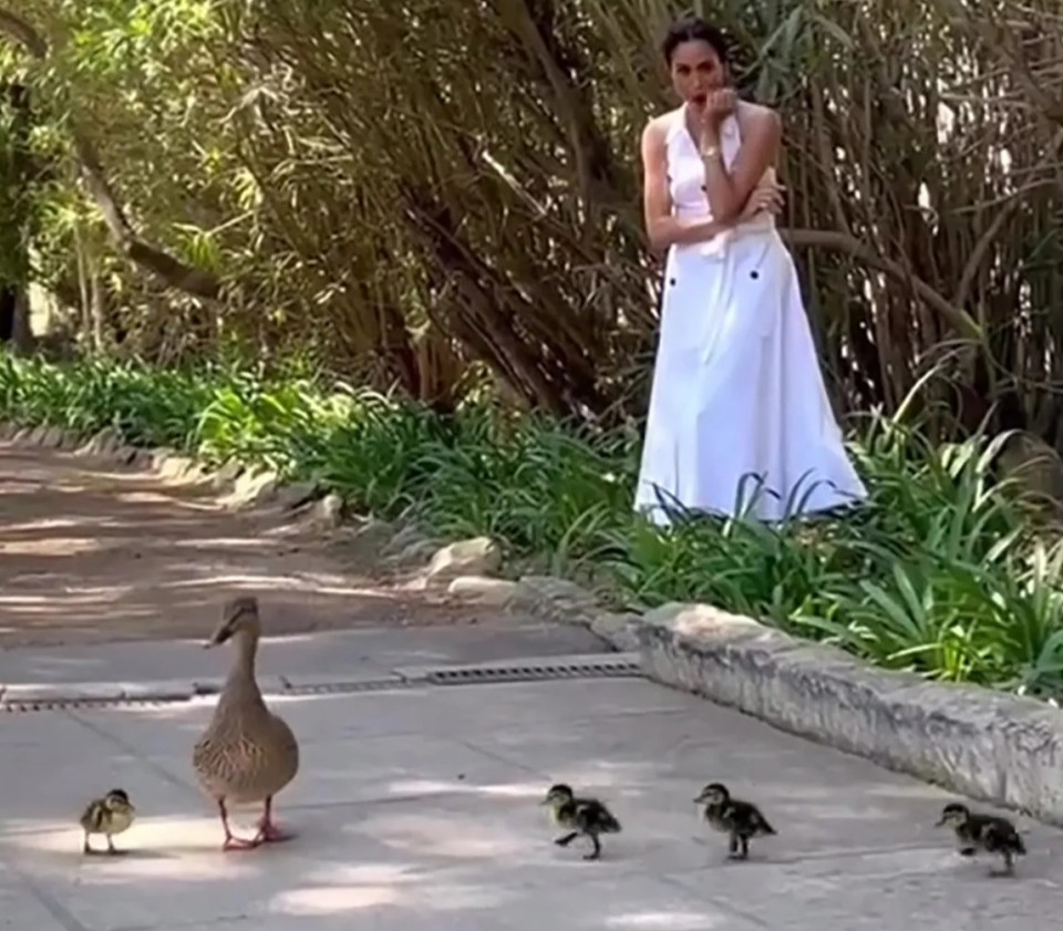 Woman in white dress watching ducklings walk by.