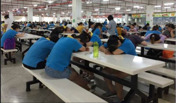 Factory workers sleeping at tables in a cafeteria.