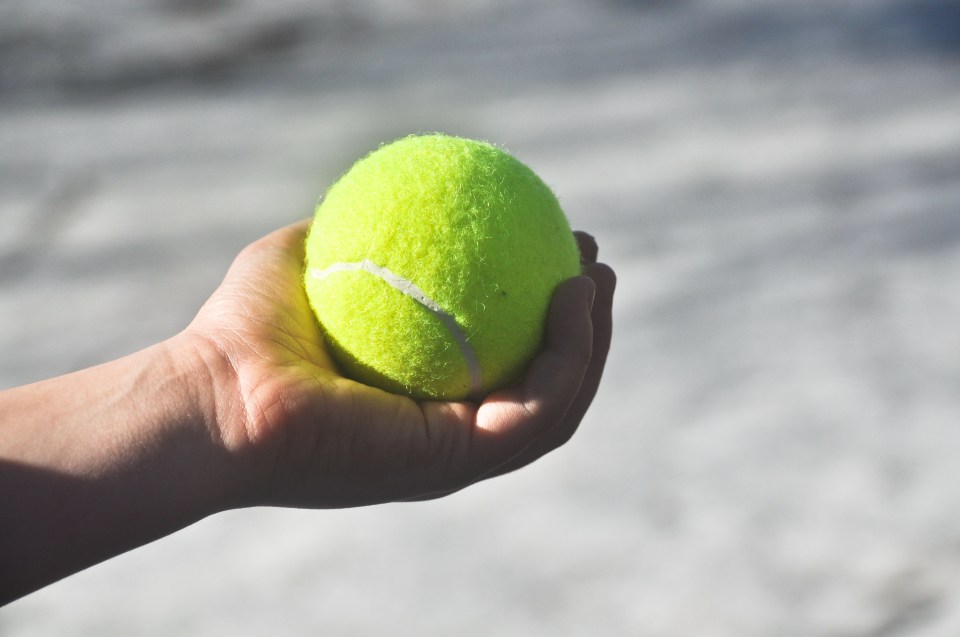 A child's hand holding a tennis ball.