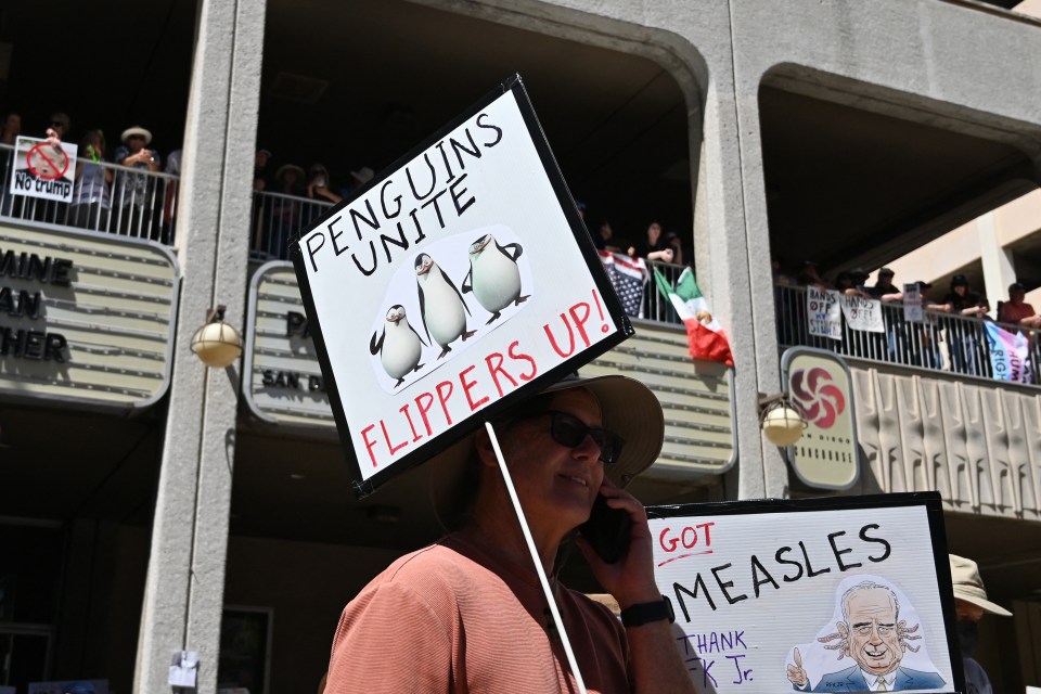 Protestor holding signs featuring penguins and a caricature of a politician.