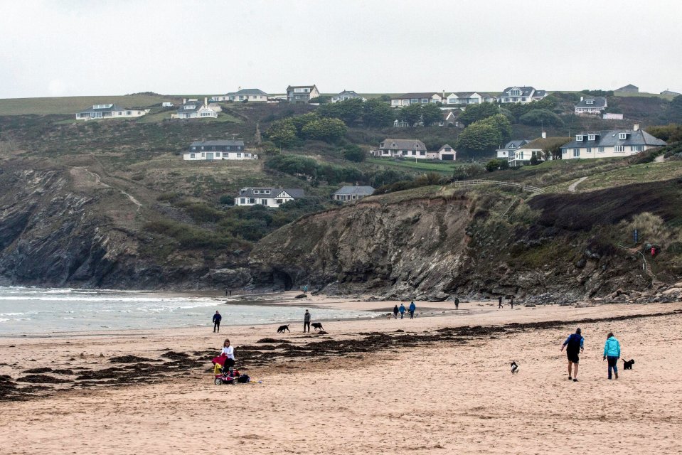 Houses on a cliff overlooking a sandy beach with people and dogs.