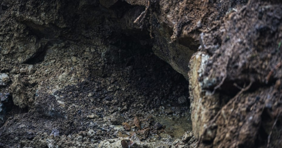 Photo of a dark, earthy cavity in the ground.