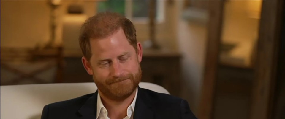 Prince Harry in an interview with BBC News.