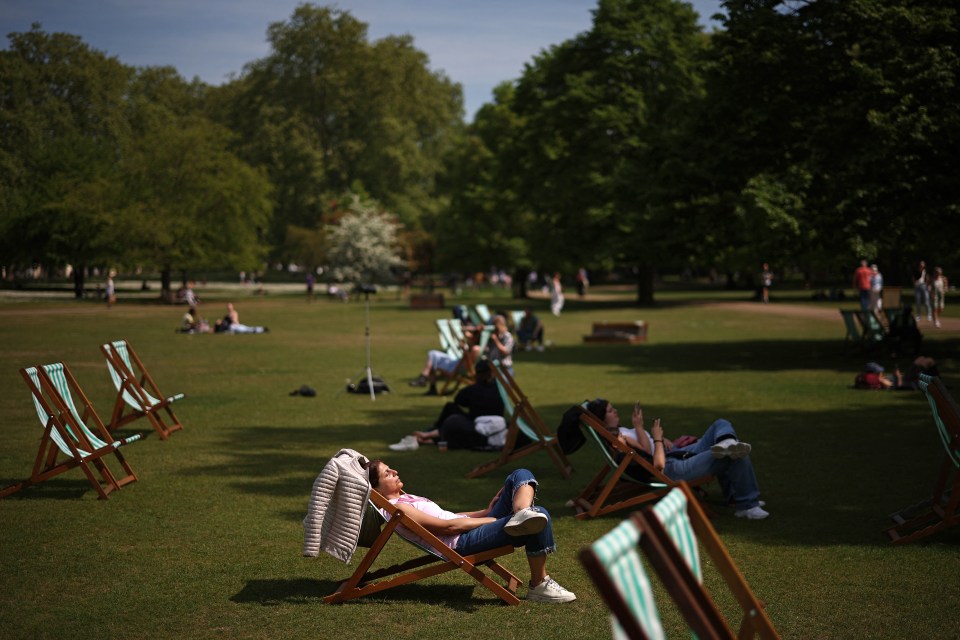 People relaxing in deck chairs in a park on a sunny day.