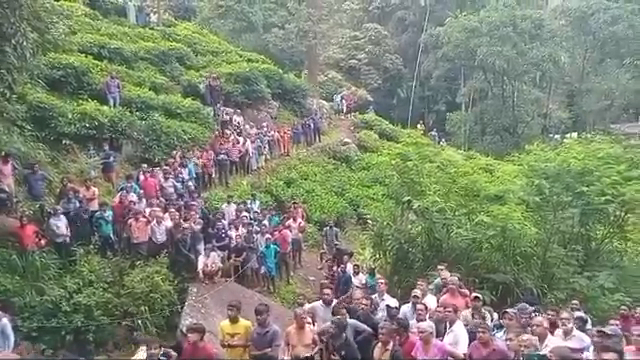 Large crowd of people gathered on a hillside.